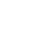 search icon